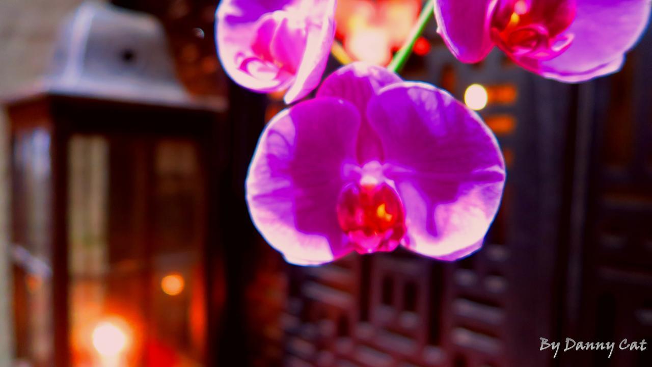 North Sea Hotel Taichung Exterior photo